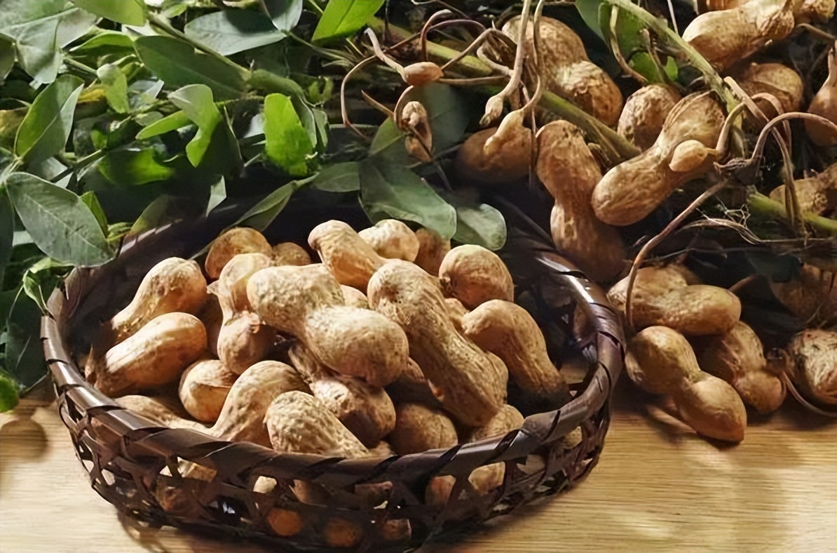 情劫是命运安排还是自己造成的,情劫彻底放下财运才会来到