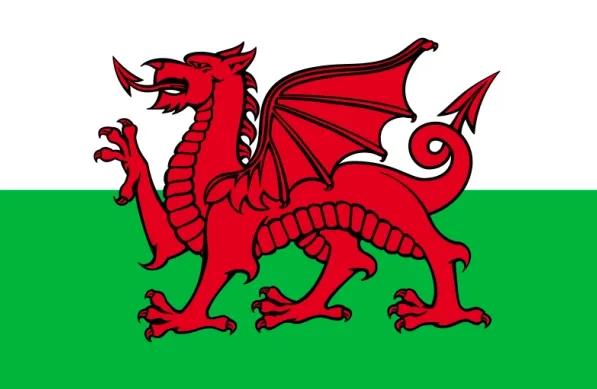 旗开得胜2010世界杯,旗开得胜勇夺冠军