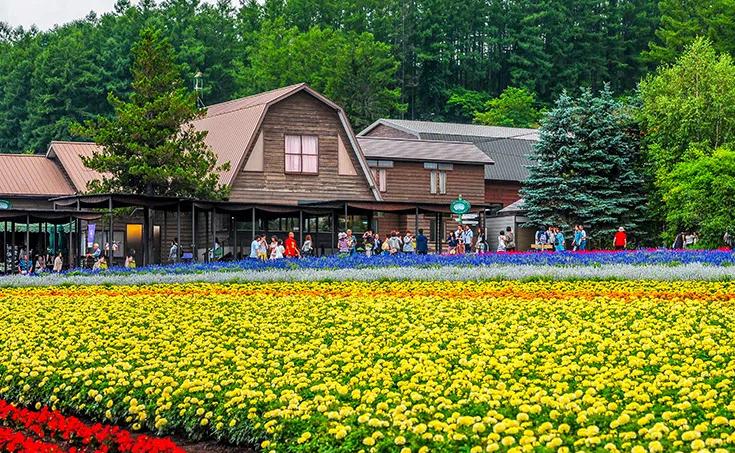 投资农村旅游项目多少钱,投资乡村游乐项目