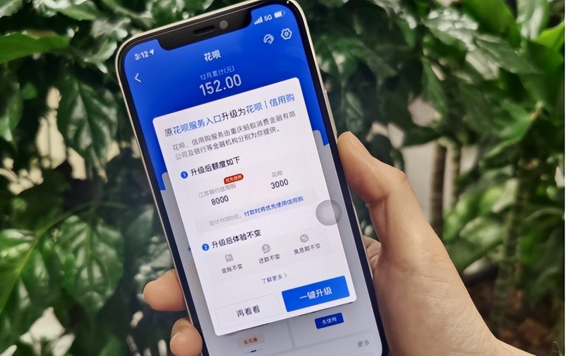 花呗被欠3000多亿视频,花呗突然被关闭没钱还怎么办