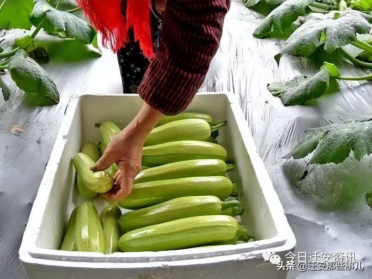 最良心生鲜超市,好吃不贵经济实惠生鲜超市