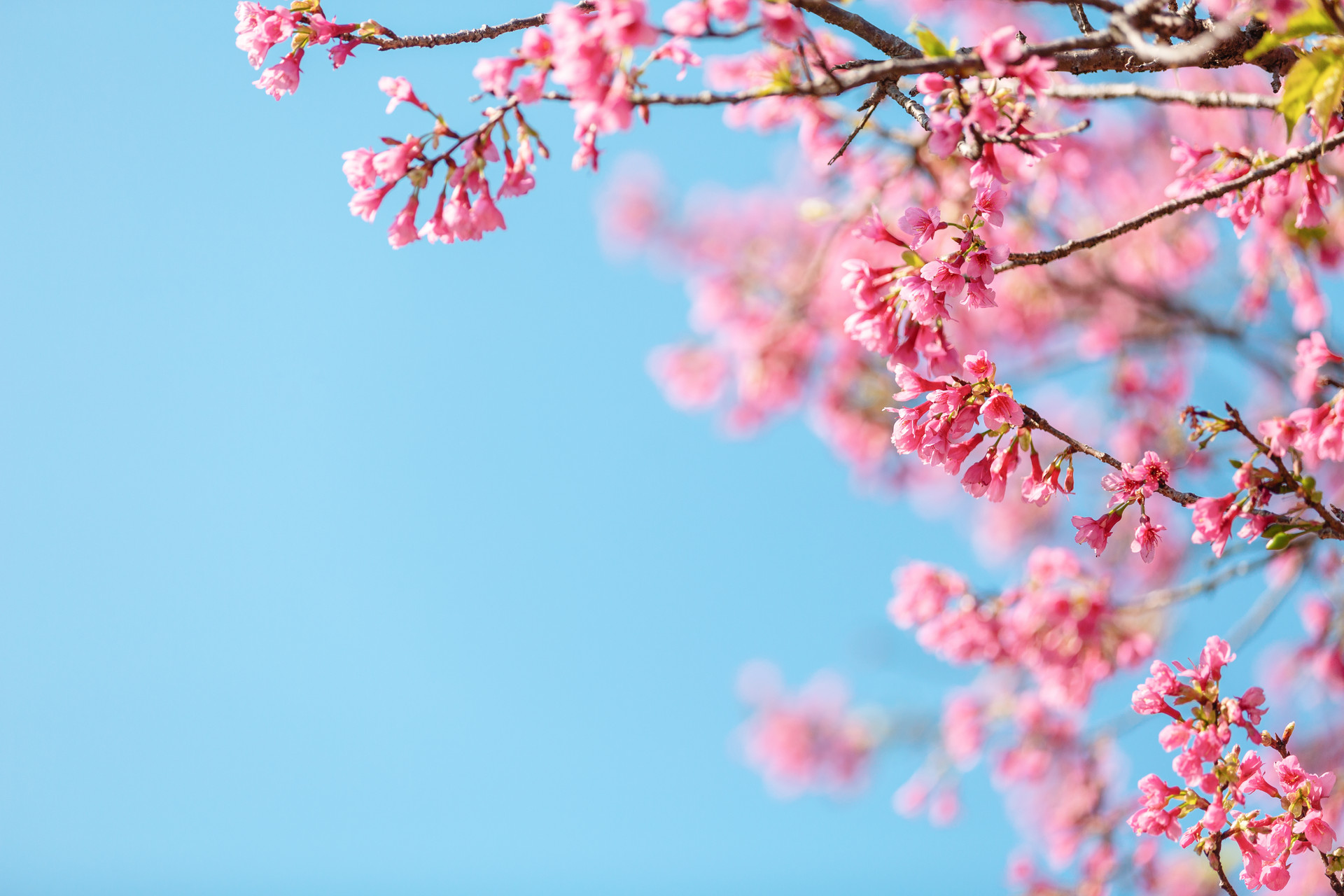 古诗不为往事扰余生只愿笑,感悟不为往事扰余生只愿笑