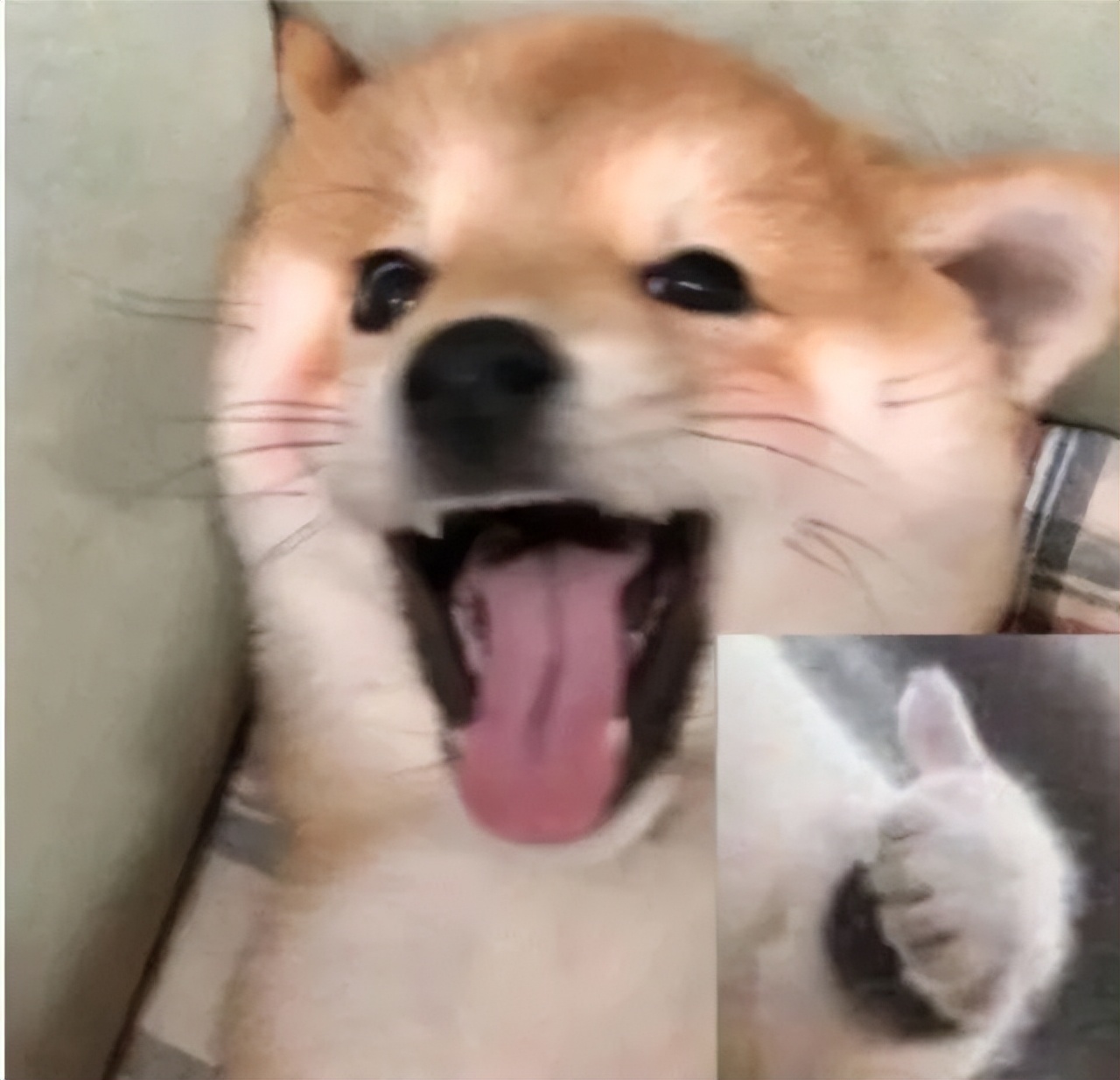 qq影音安卓下架了吗,iosqq影音下架