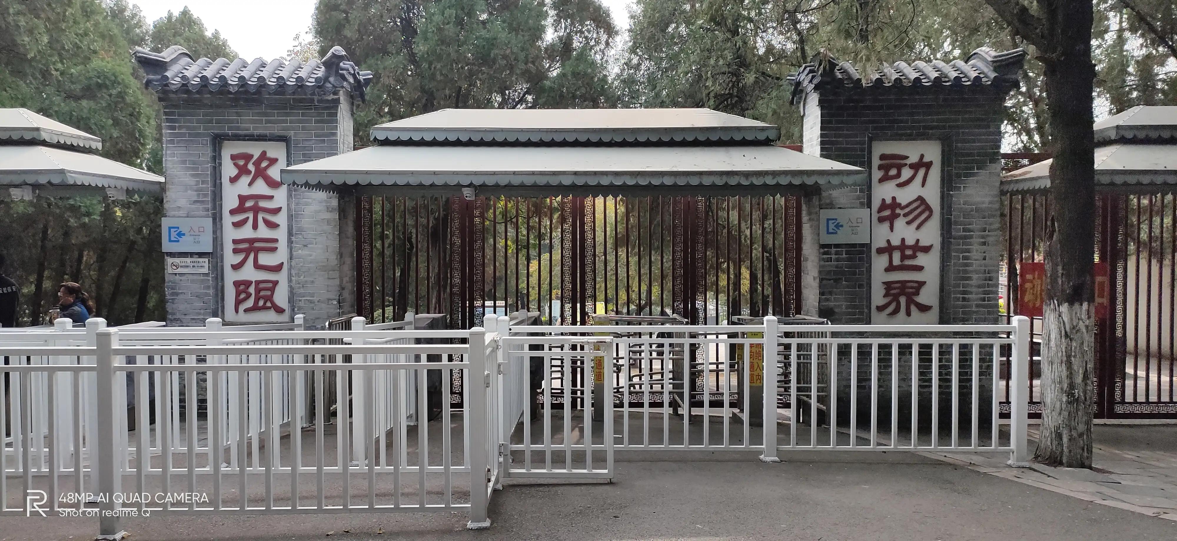 徐州彭祖园森林探险,徐州彭祖园名人石像