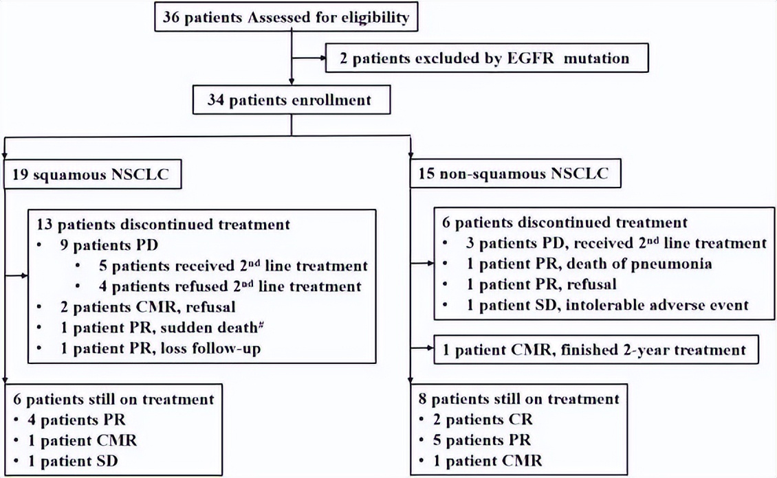 肿瘤客观缓解率,肿瘤客观缓解率是什么意思