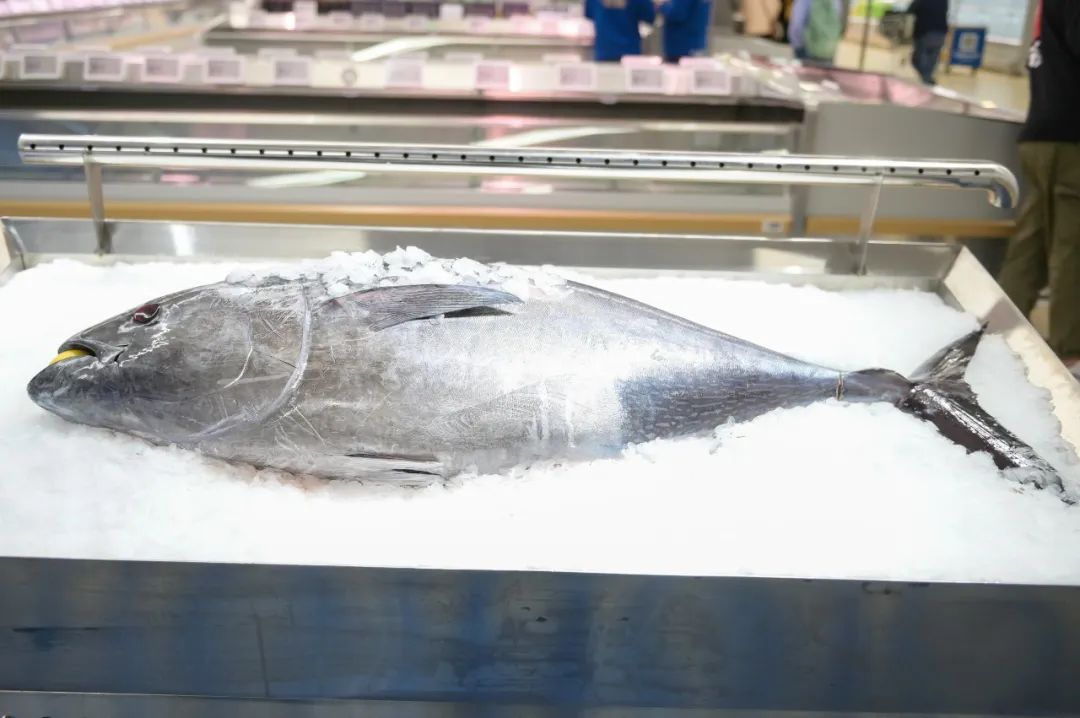 浦东盒马x会员店跨境店,上海第二家盒马x会员店