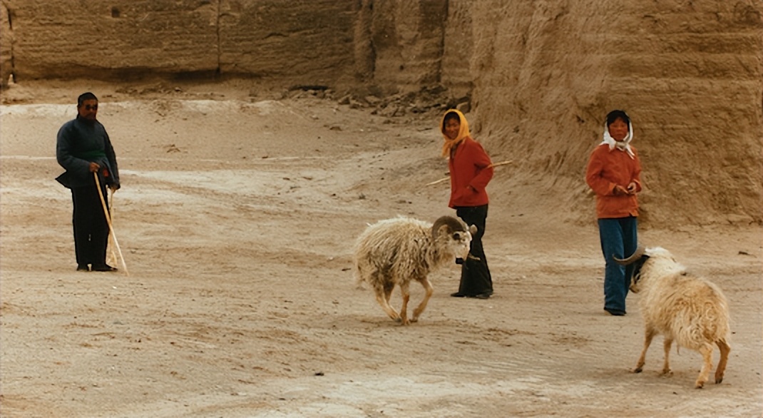 琛屼负鑹烘湳涔嬬埗,琛屼负鑹烘湳涔嬬埗涓浗