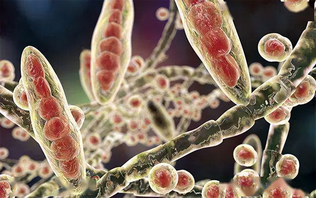 内衣裤穿一天到底有多脏,穿一天的裤子后边有异味