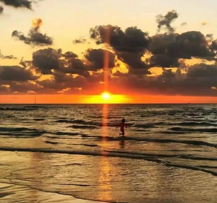 不忘初心方得始终原文,励志不忘初心方得始终短片