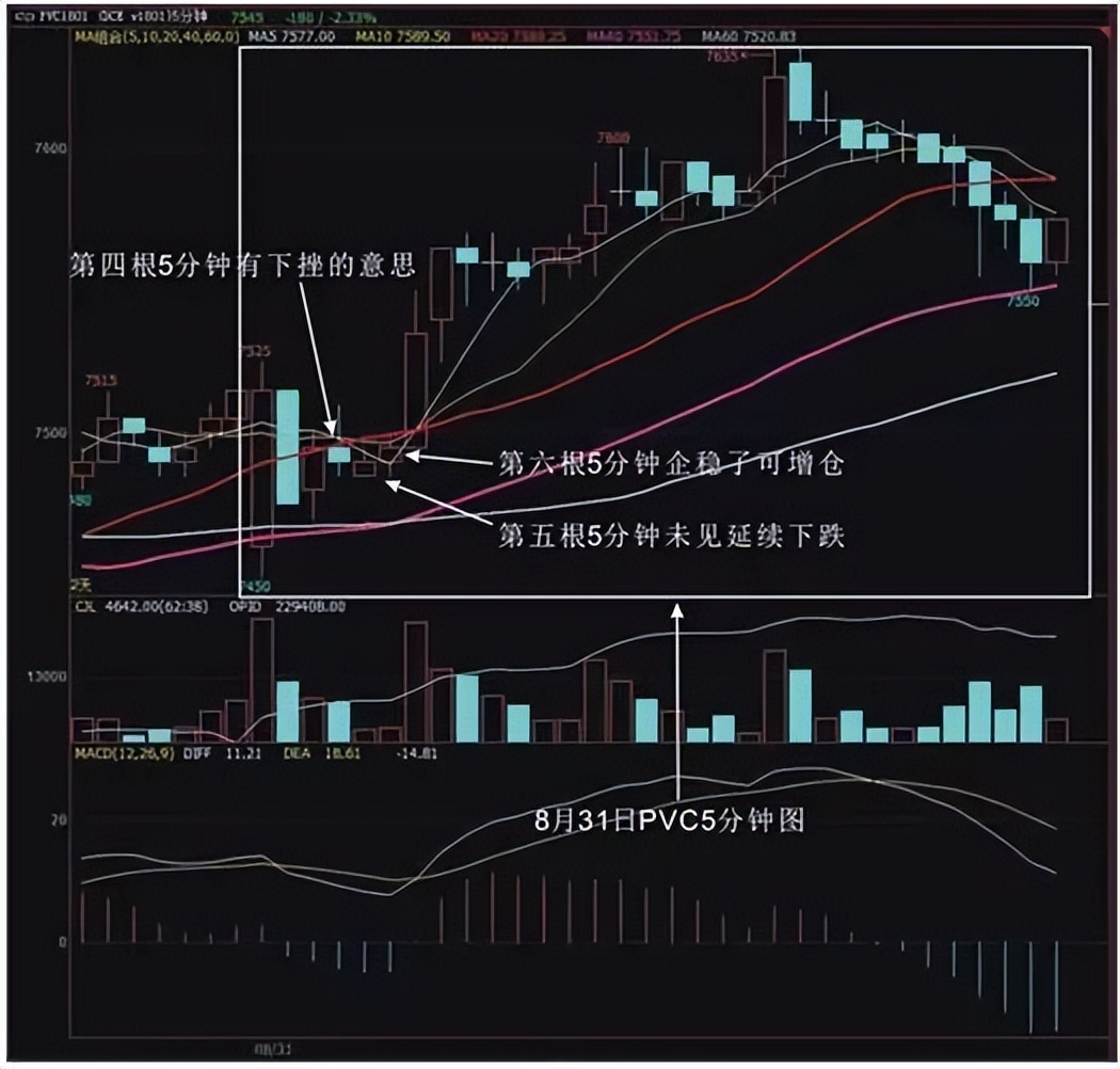 被“夜老虎”打趴下去后，我如何成为一个稳定盈利的“狩猎者”？