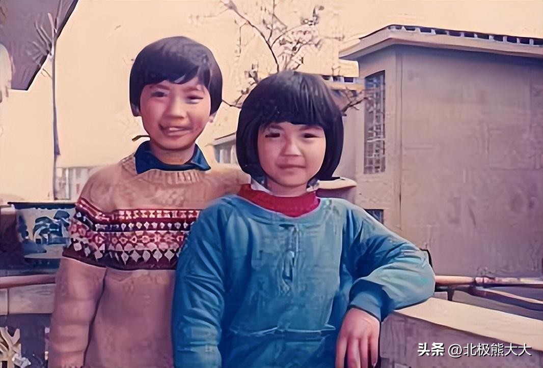 从贤妻到女强人刘涛都经历了什么,贤妻刘涛真实身份