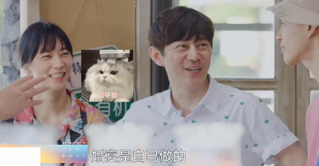 向往6最后几期嘉宾,向往6什么时候开播