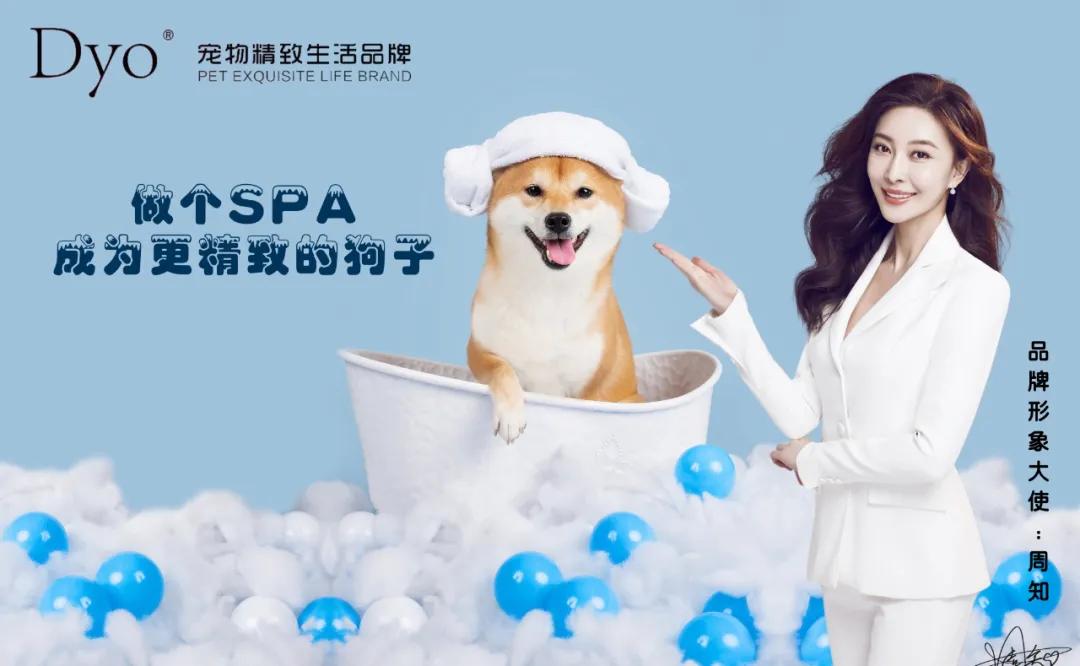 入驻门店近20000家，年增长超50%，Dyo用精致SPA“愉悦”万千宠物