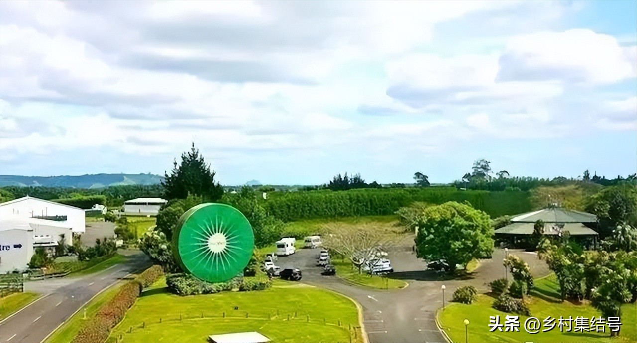 奇异果之都蒂普基地形图,新西兰奇异果小镇蒂普基