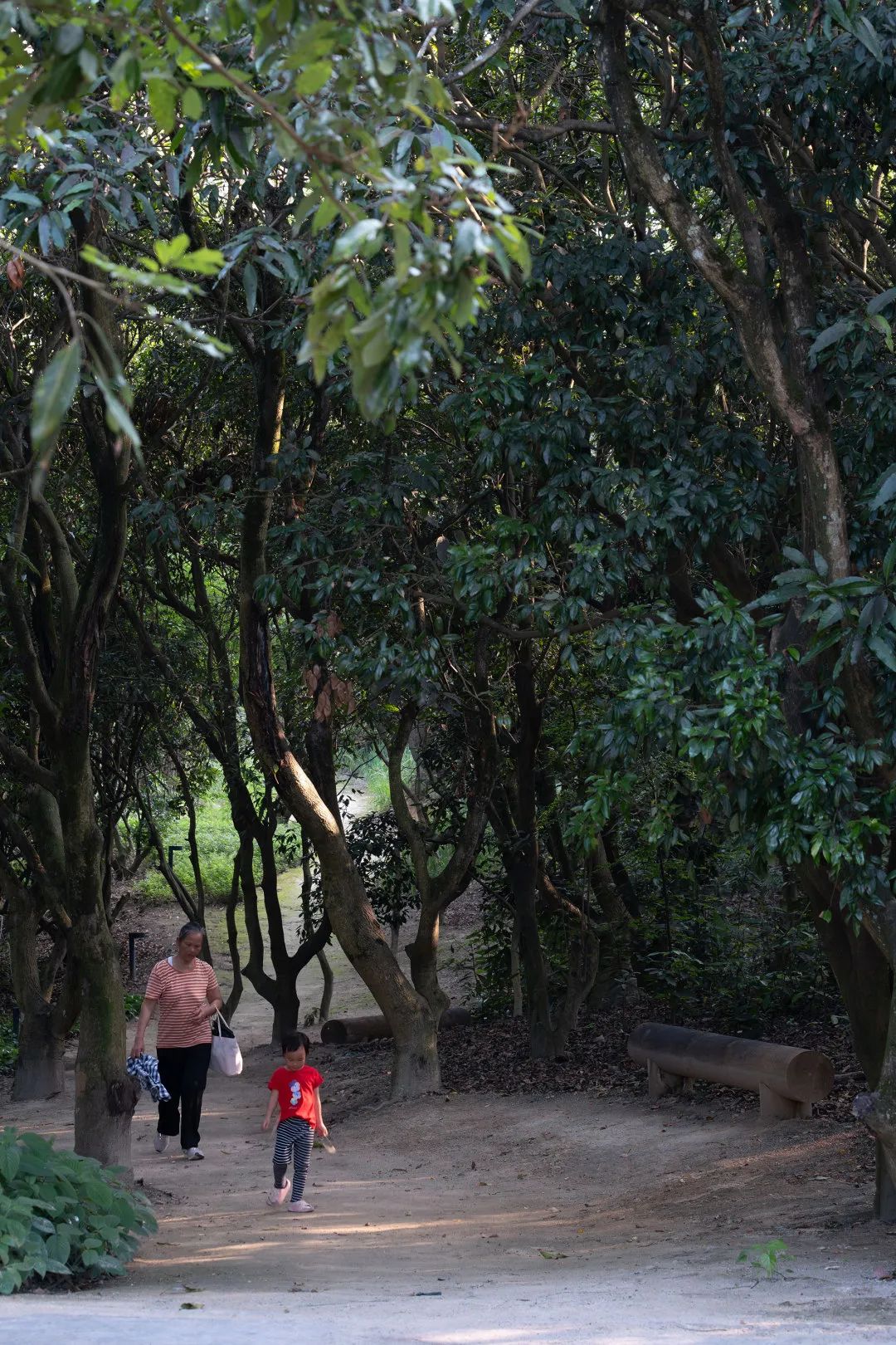 零碳公园在哪里,零碳公园