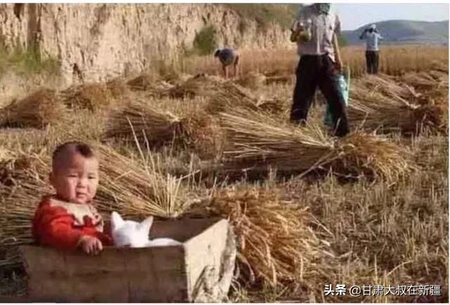 2020年至2023年暴雨天气汇总表,天气暴雨几级预报准确一点