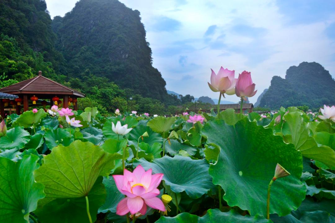 广州清远一日游必去景点,清远宝墩湖附近旅游攻略