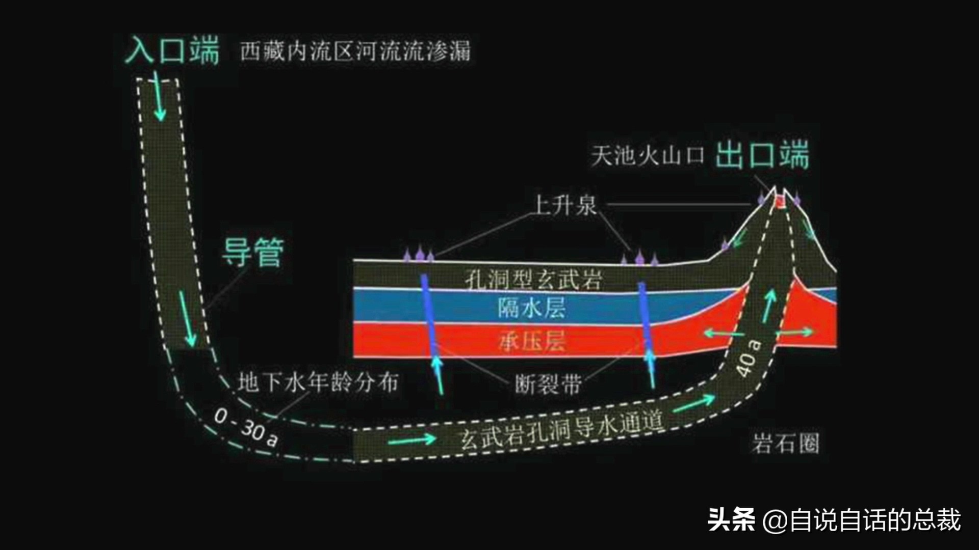 国内的假三文鱼是什么鱼,哪种才是真正的三文鱼