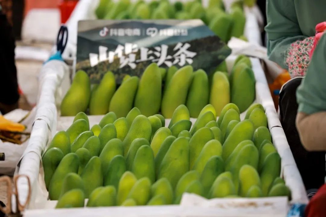 抖音电商商品上架,抖音电商山茶油