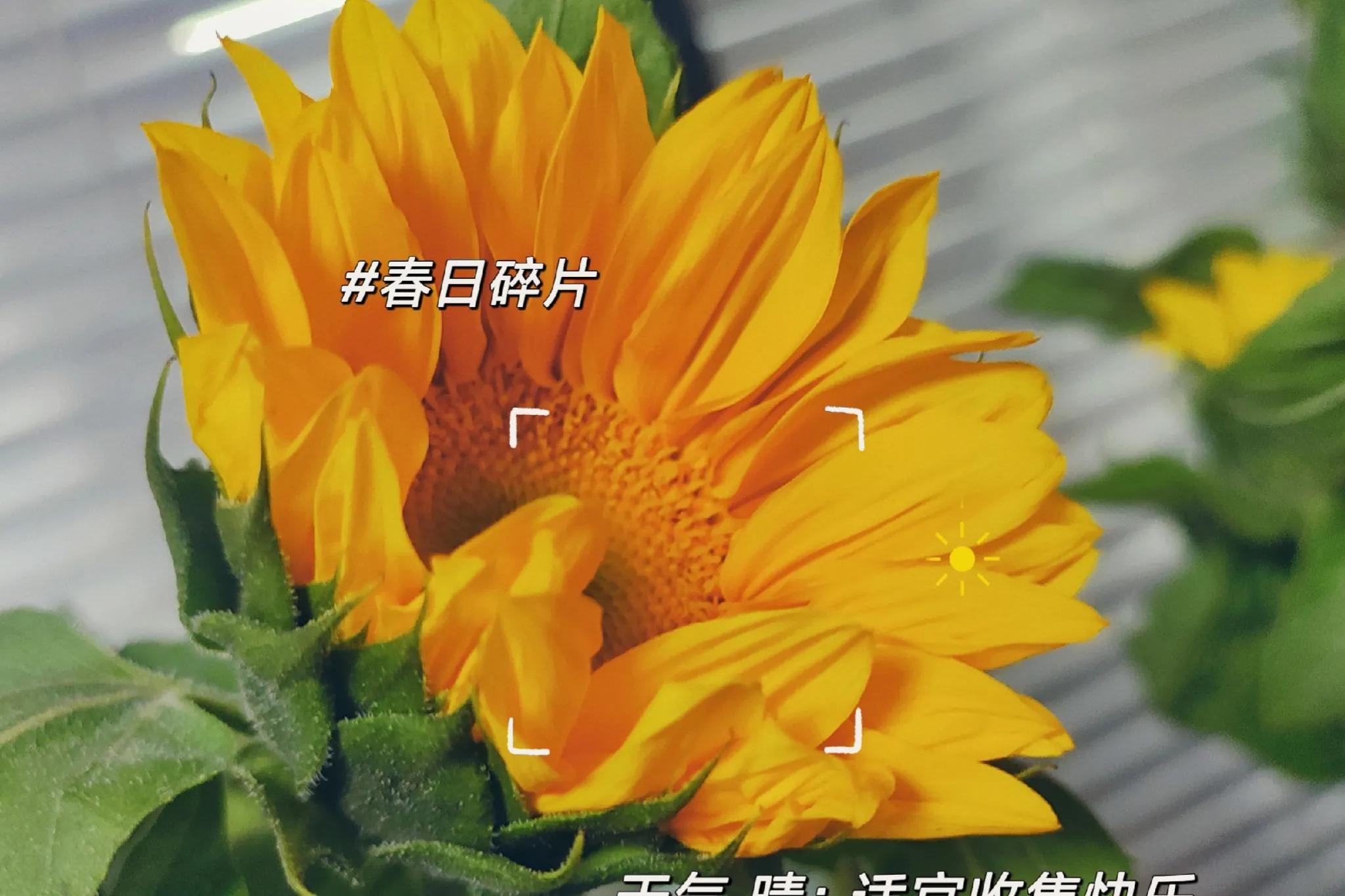 央视推荐：下班悄悄做这6件事，和同龄人拉开差距然后惊艳所有人