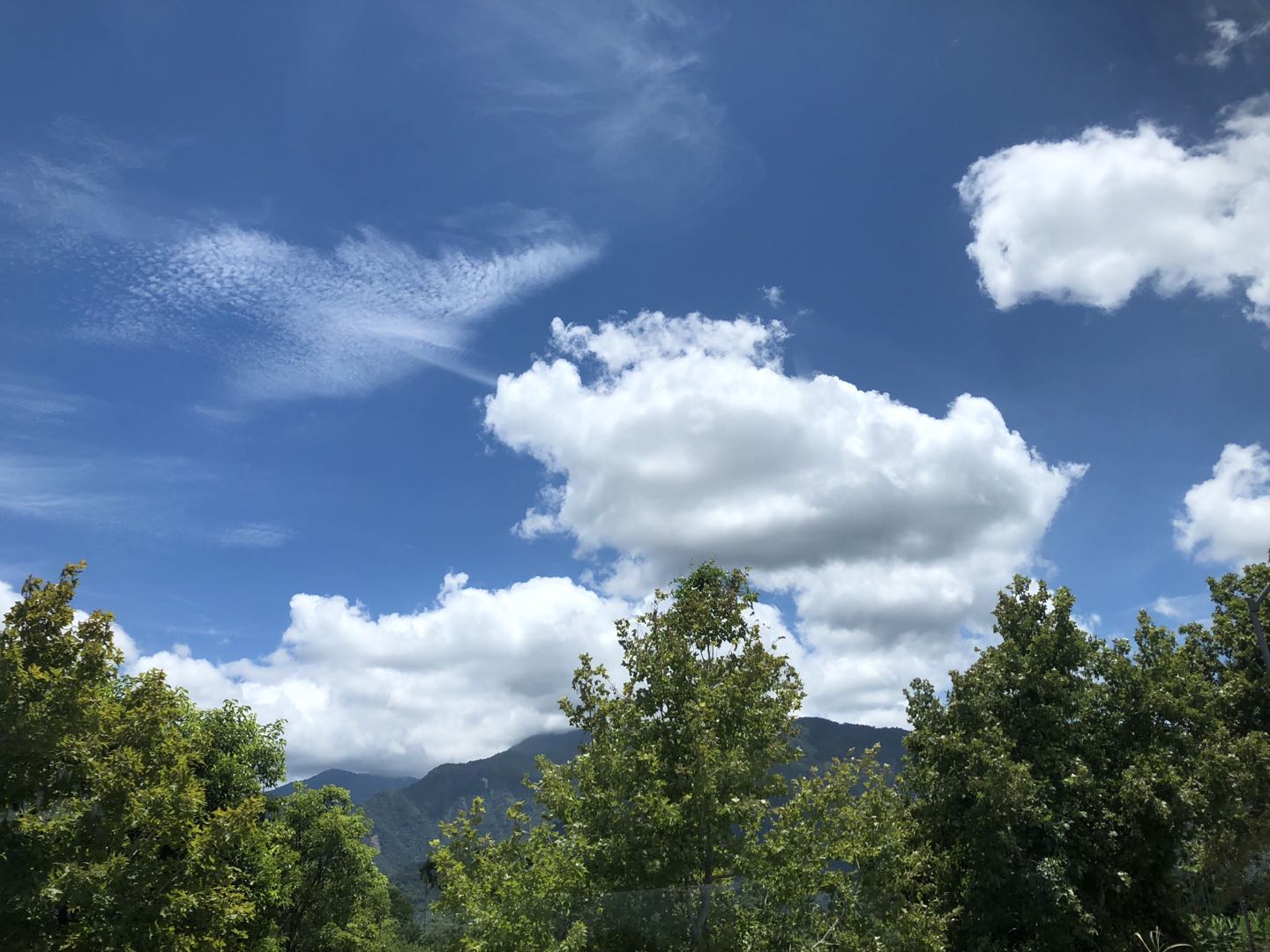 中央空调创业方案,中央空调行业出路