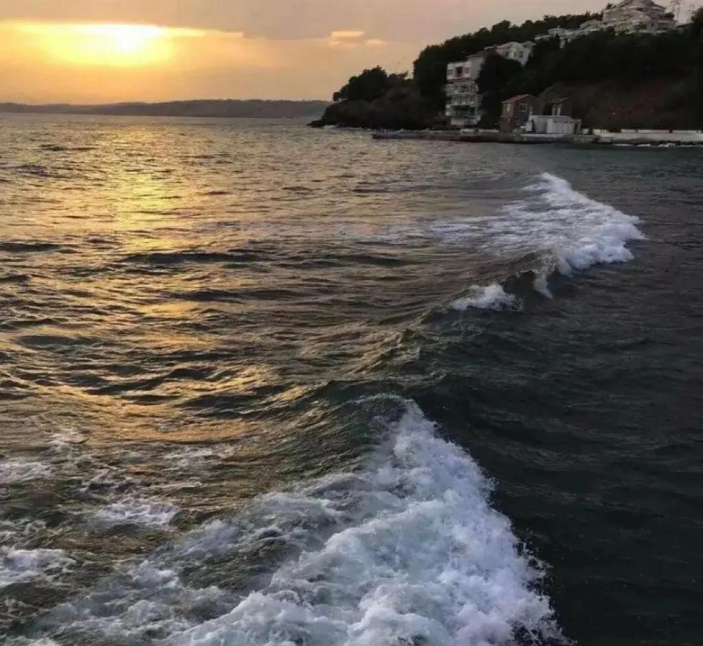 不忘初心方得始终原文,励志不忘初心方得始终短片