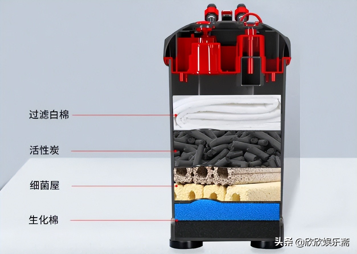 鱼缸硝化过滤细菌多久需要换,鱼缸加入硝化细菌要一直开过滤吗