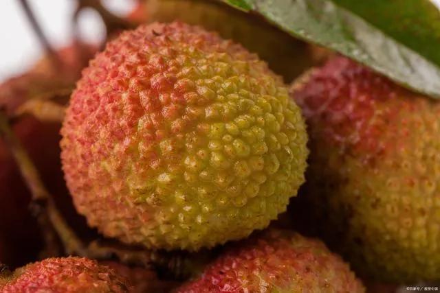 夏天开花的水果,夏天的水果图片