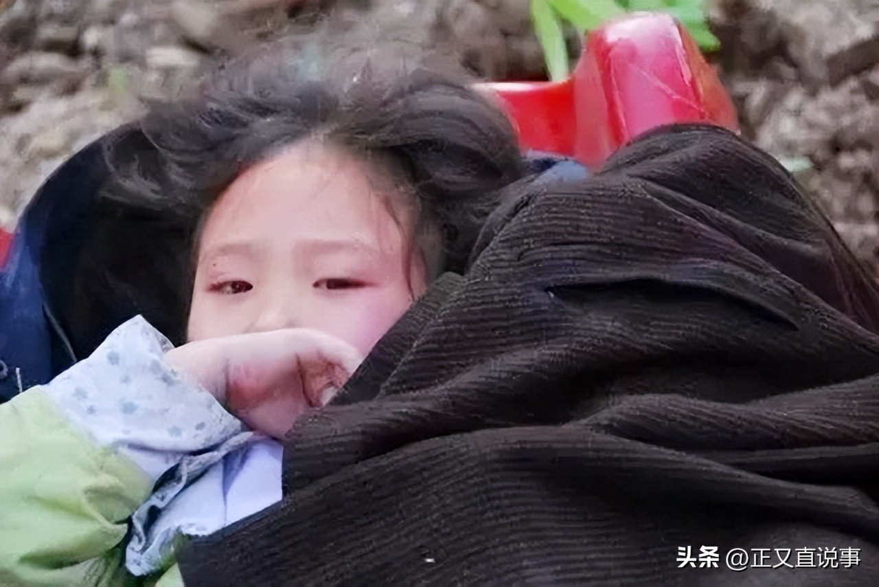 立功警犬被伤,功勋犬拍戏被炸死驯养员哭出血