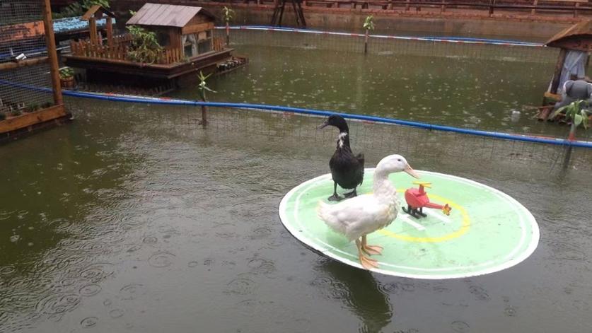 广东单身男子辛苦养娃19年，学霸儿子考上美名校为何却选择离世