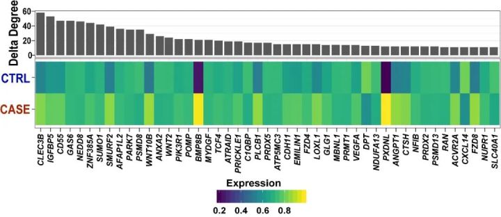 继发性下肢淋巴性水肿治疗 (继发性淋巴水肿对身体器官影响)