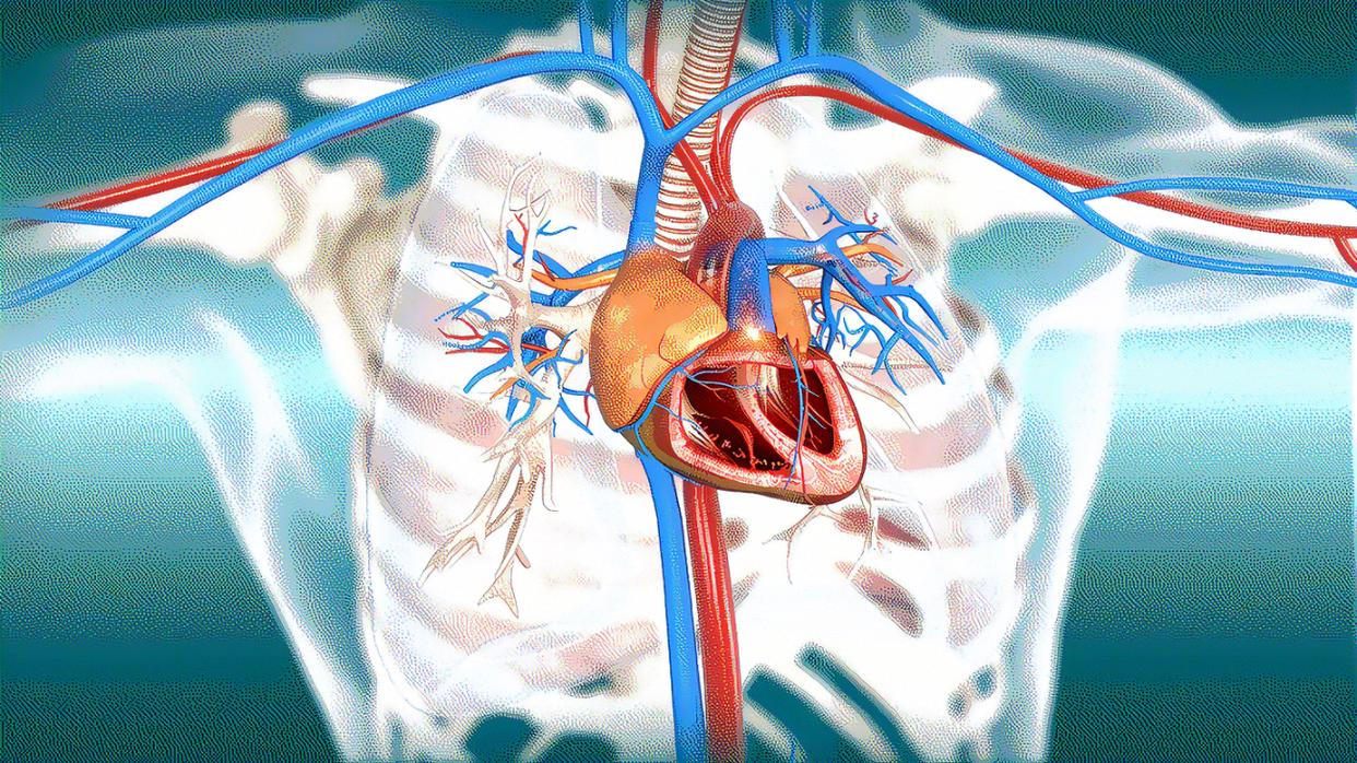 服用恩替卡韦5年乙肝表面抗原3000,长期服用恩替卡韦能控制小三阳吗