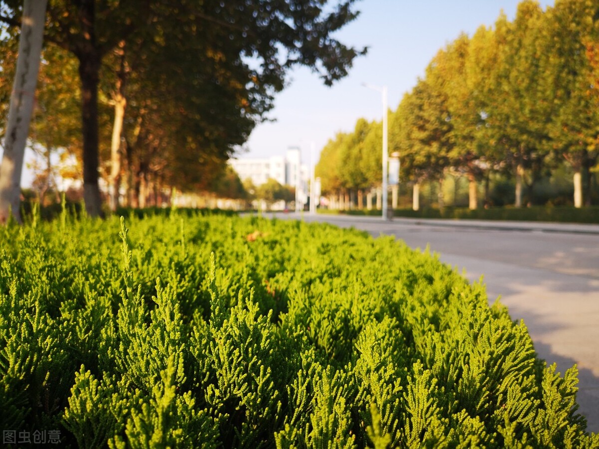 黄河水利职业技术学院2022年寒假,400分能上黄河水利职业技术学院吗