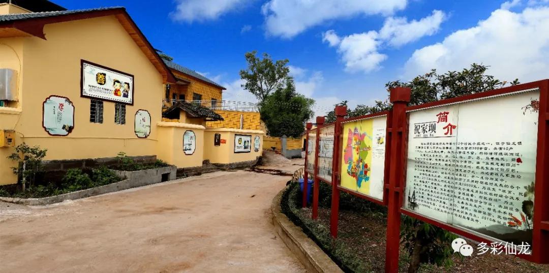 永川仙龙油菜花基地,仙龙油菜花节