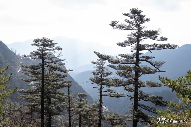西安华山一日游攻略,西安一日游线路推荐