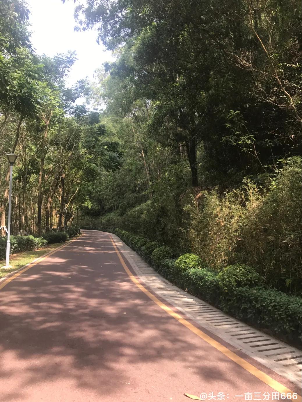 钱与资源的关系,钱和资源谁重要