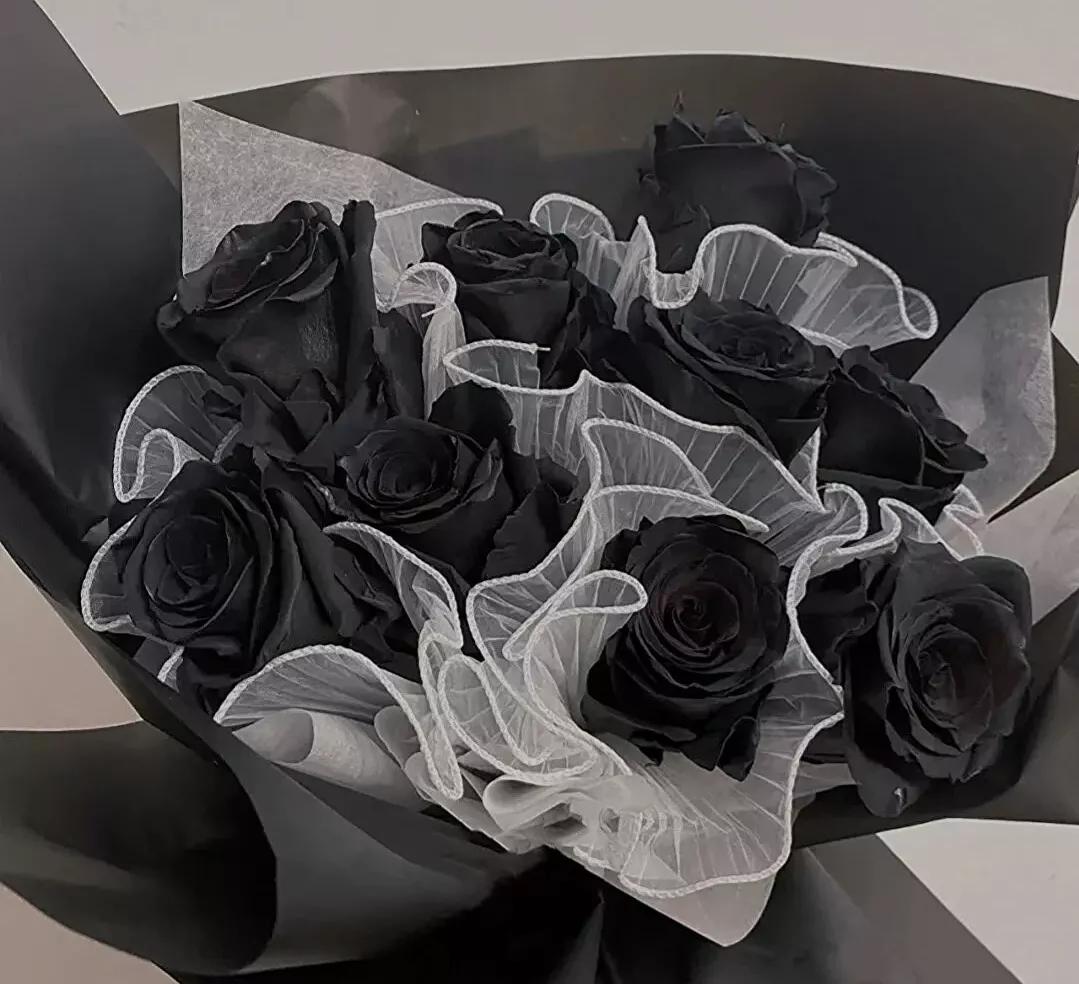 红色玫瑰花花语和寓意,满天星和玫瑰花的花语