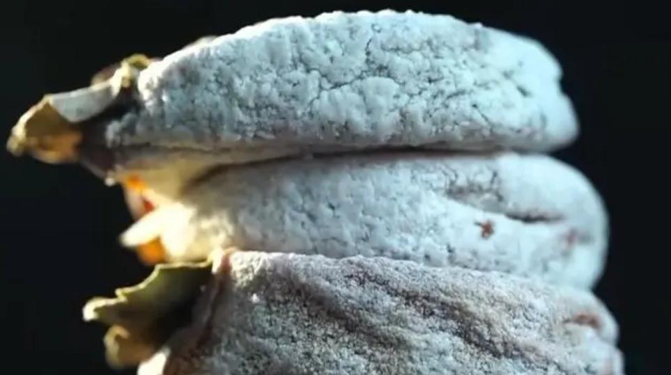 种植柿子发家致富,柿子种植致富经历