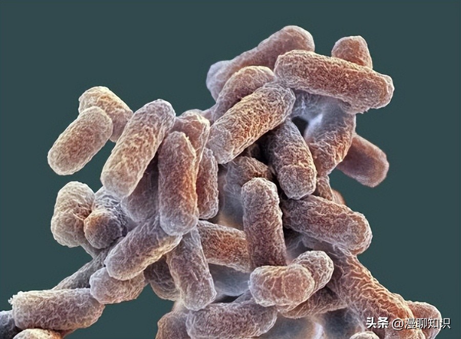 马疱疹病毒感染用什么治疗好,马病毒性疱疹