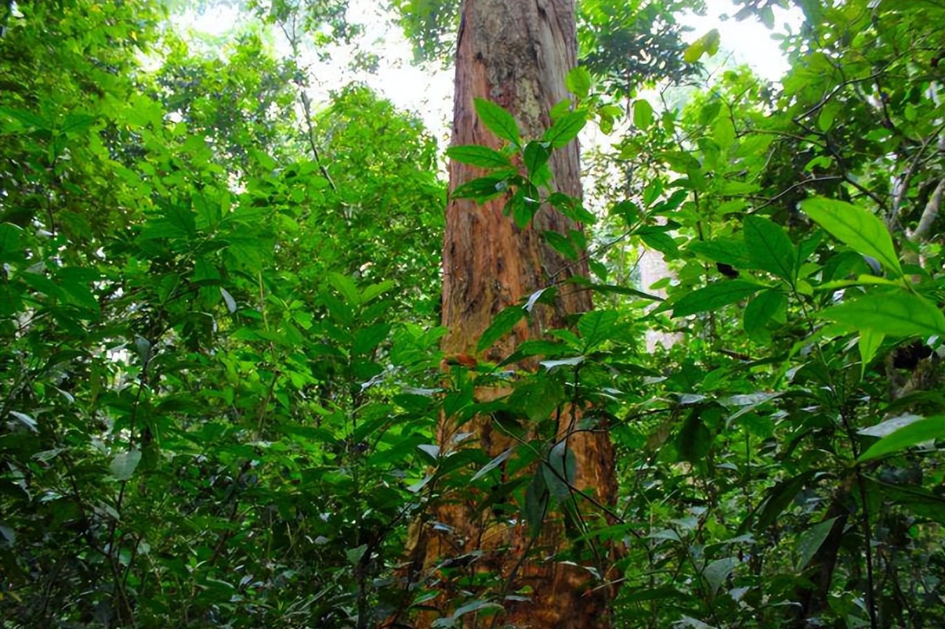 这才是中国高端品牌,中国的顶级中式奢侈品