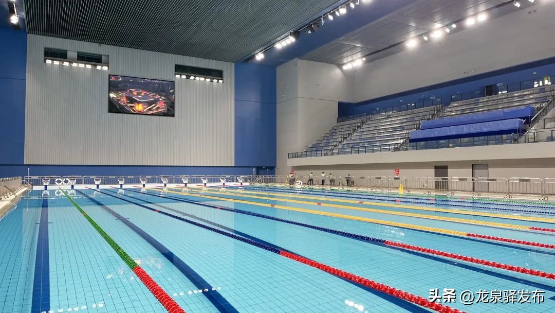 东安湖体育公园游泳跳水馆外形图,东安湖体育公园跳水游泳馆