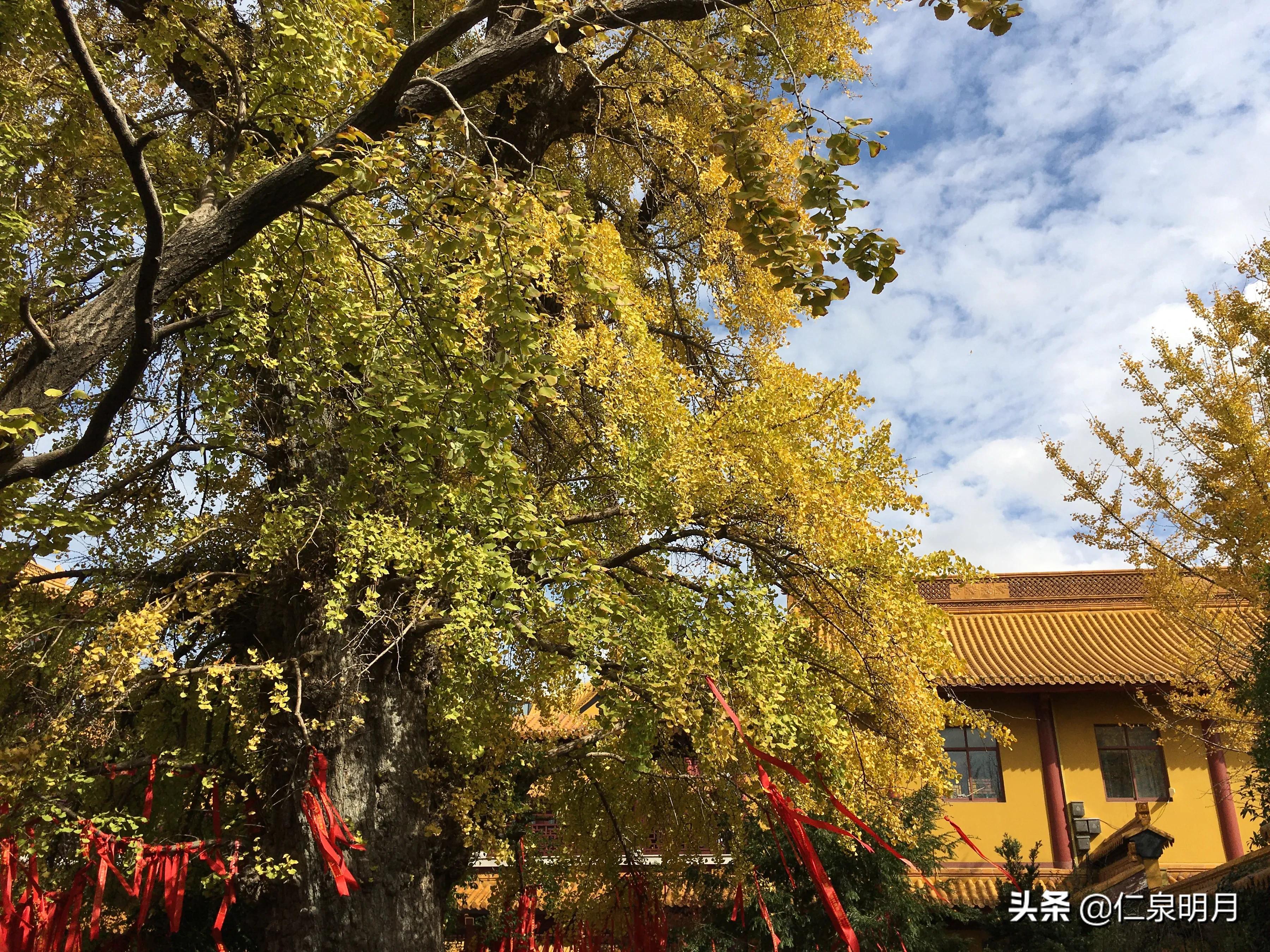 南桥二严寺洗心之行