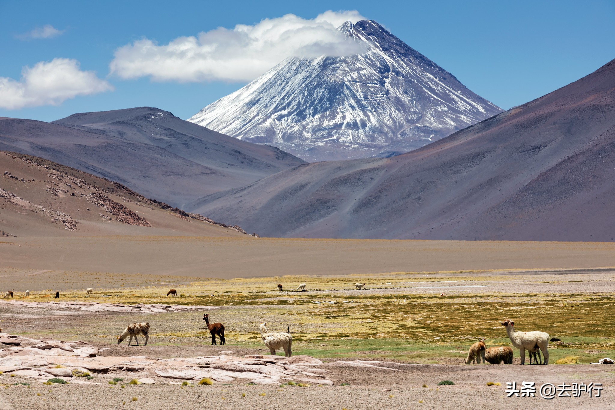 智利国家有哪些著名风景,智利是个好地方