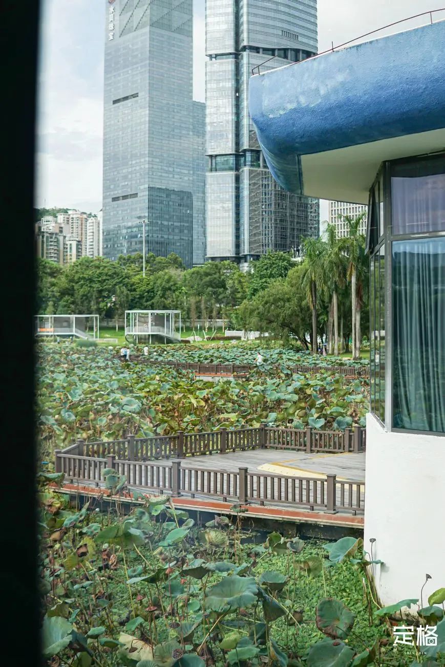 深圳最美书房图片,深圳11个绝美书房免费开放