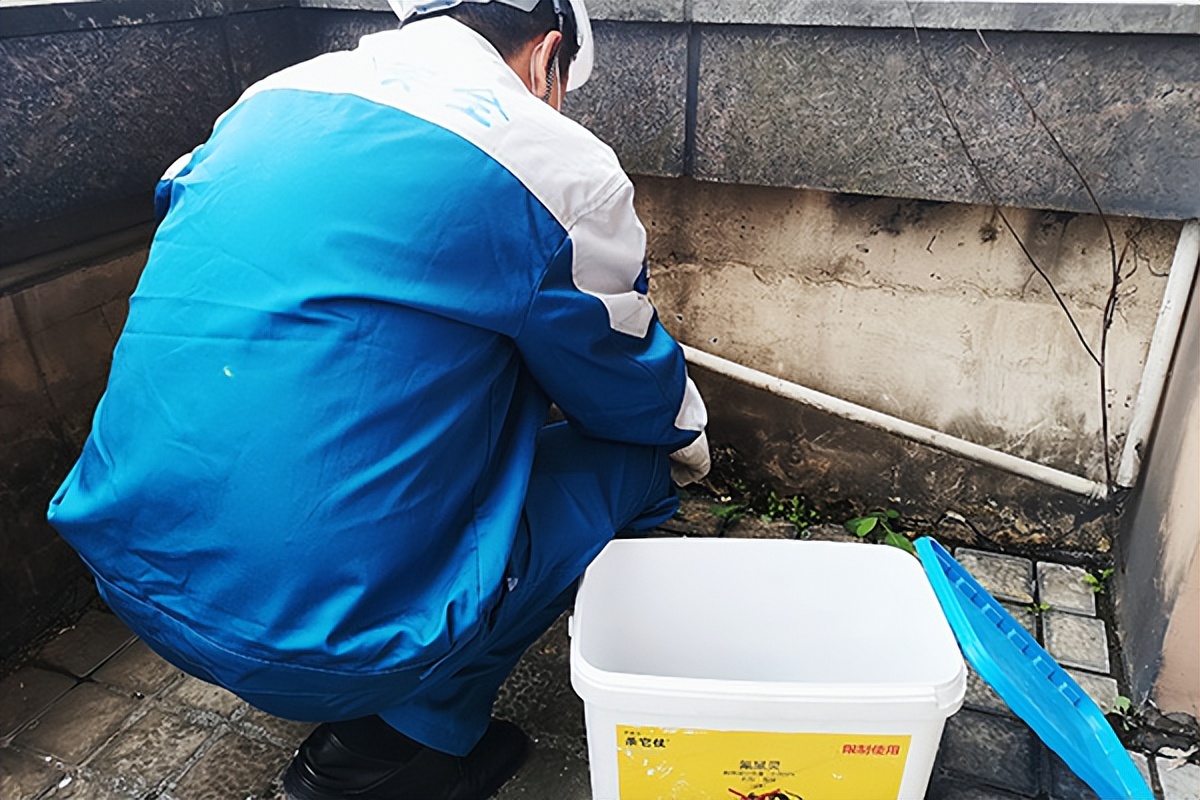 灭鼠公司防治老鼠采取的有效措施,灭鼠的质量技术标准