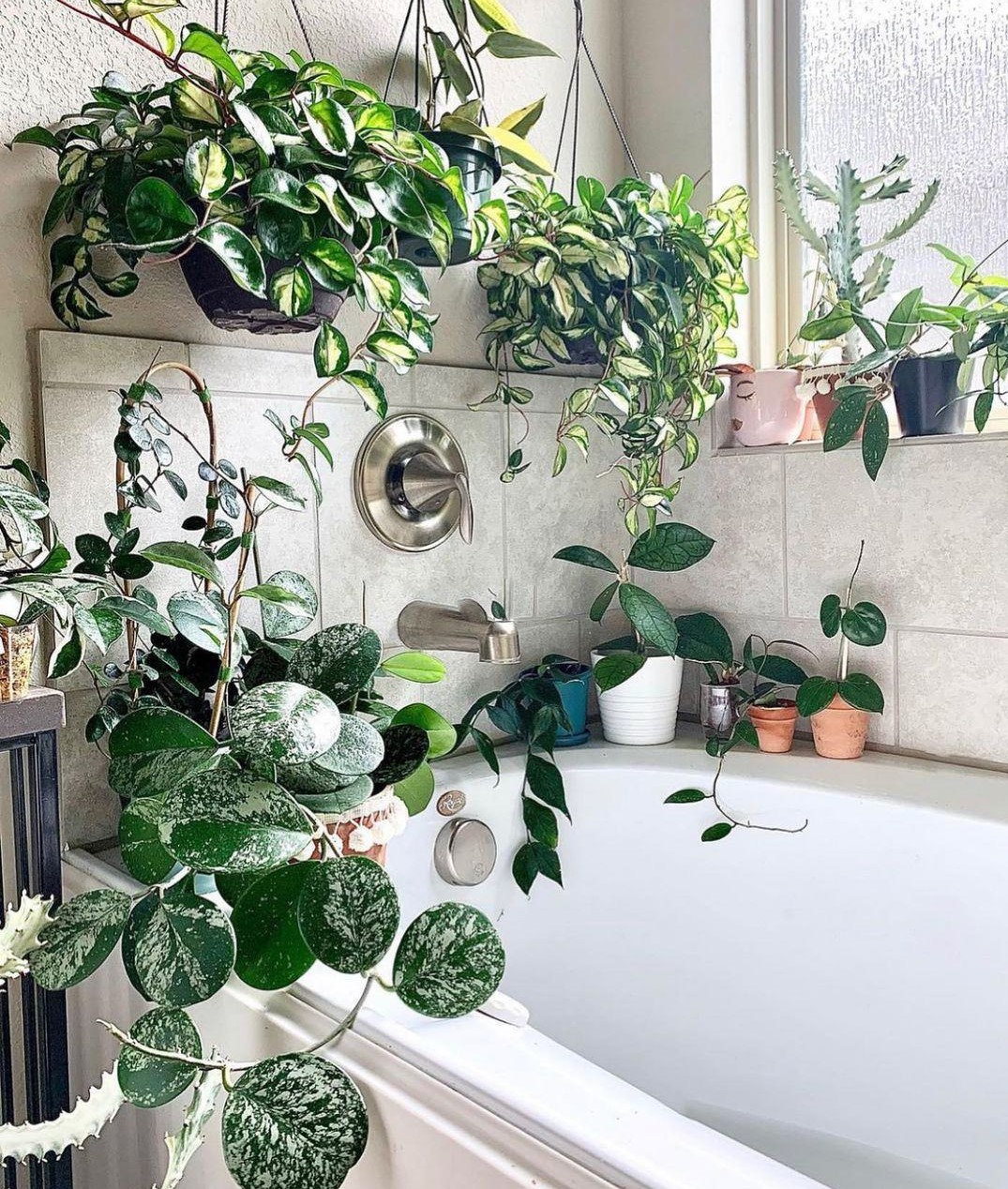 厕所除臭空气清新香氛,厕所吸味盆栽