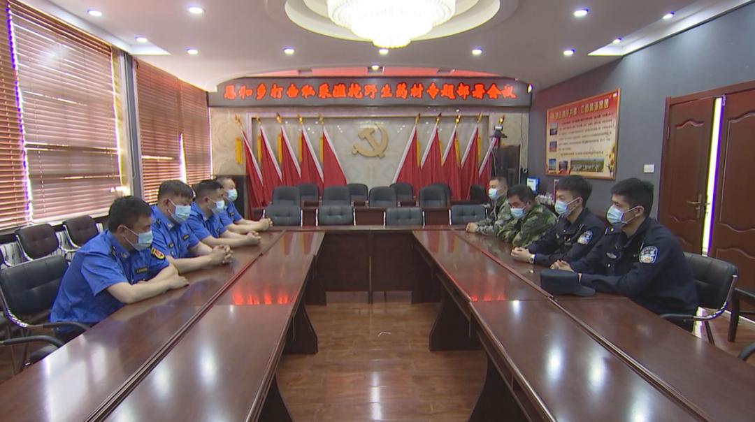 恩和俄罗斯族民族乡全力打击盗挖收购运输野生药用植物违法行为