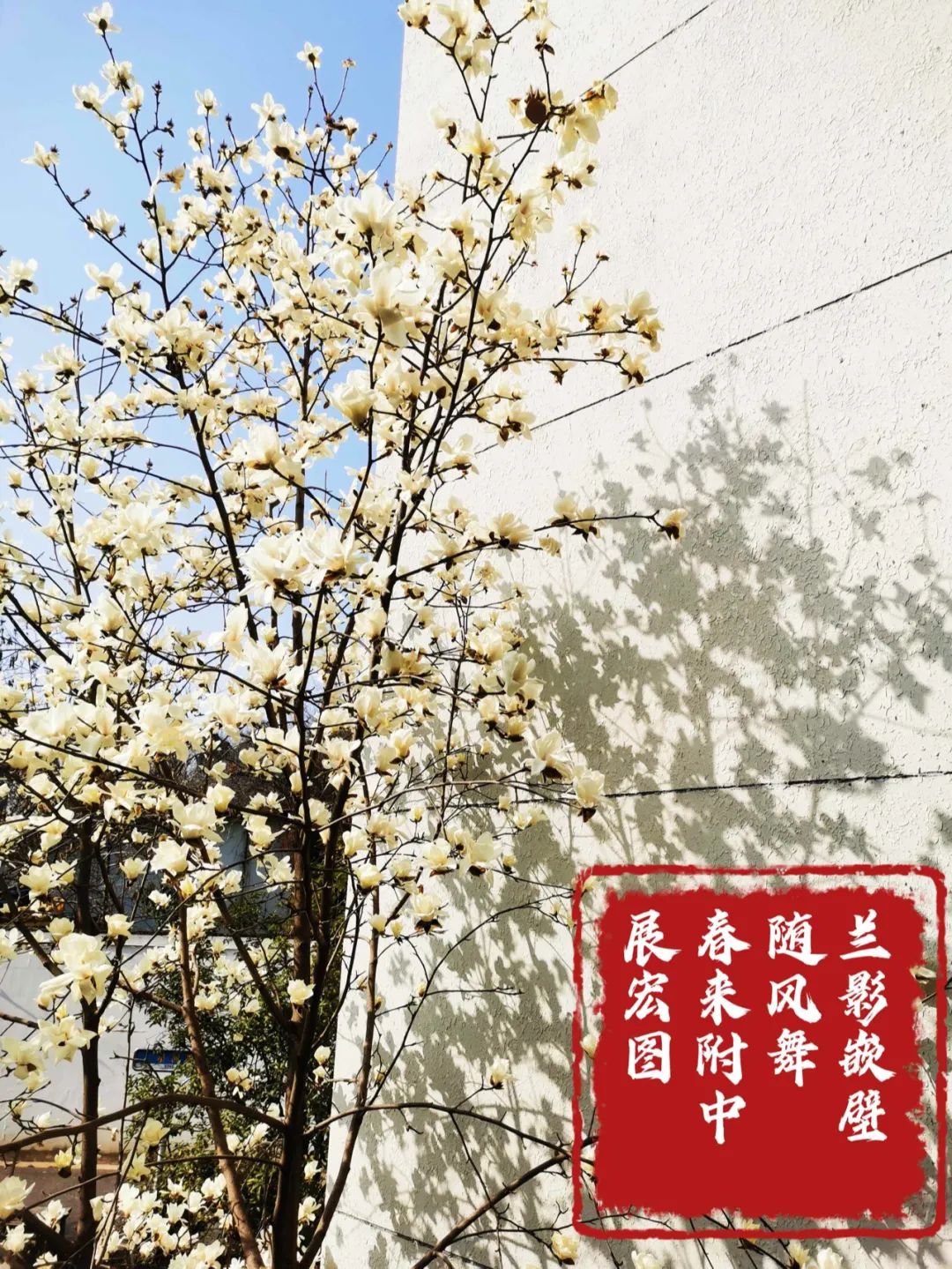 一句话总结南京高校,三句话赞美学校