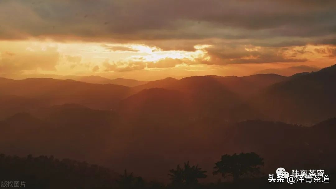 “自古名寺出名茶”，什么样的茶才能称为禅茶呢？