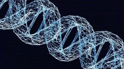 石榴中维生素c的含量高吗,石榴中维生素c含量